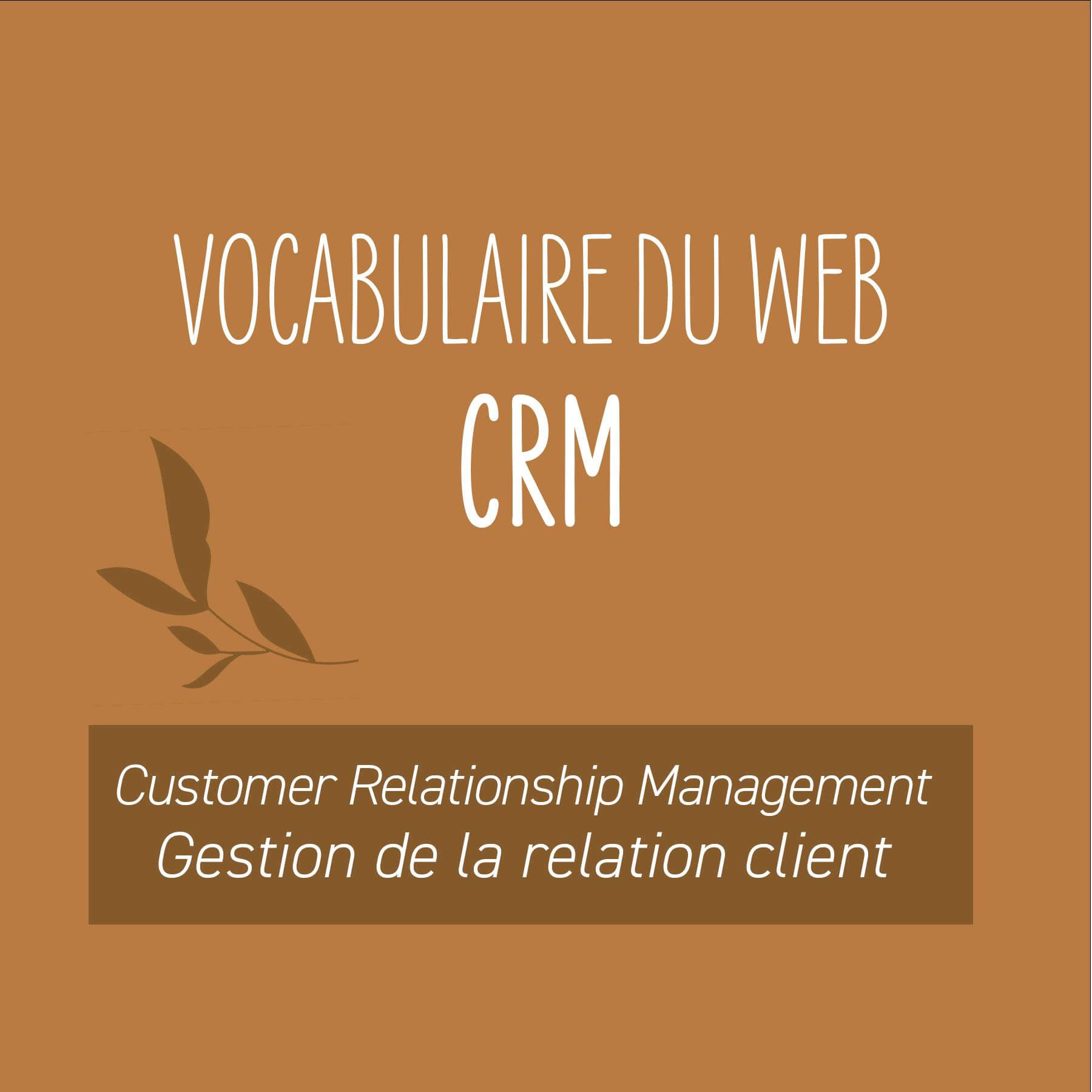 Vocabulaire du Web - CRM